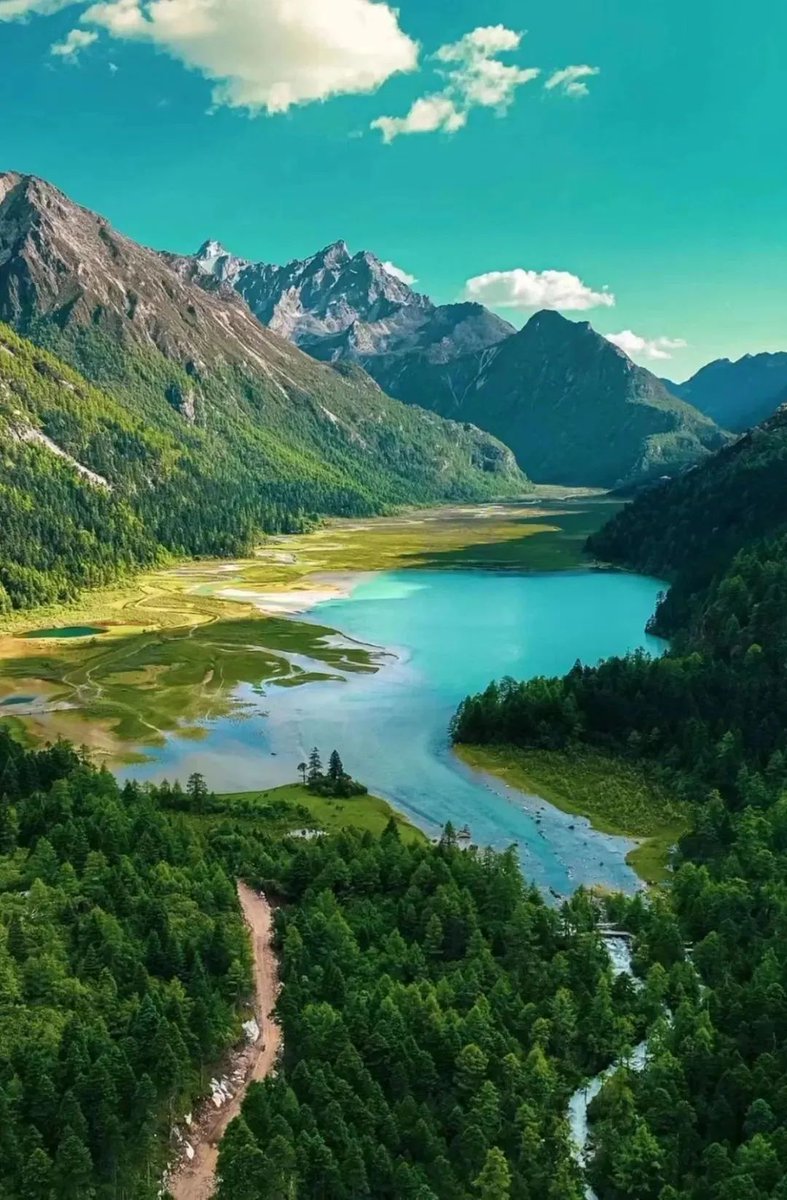 GanziChina's tweet image. Ganzi Road Trip: May Day Special 
First stop: Hehuahai National Forest Park
📍Pusharong Township, Kangding (between Gongga Mountain &amp;amp; Wuxuhai Scenic Area)
Explore pristine forests, wild animals, hot springs, alpine lakes &amp;amp; glaciers!
#GanziGuide #SpringTrip #Travel #China #MayDay