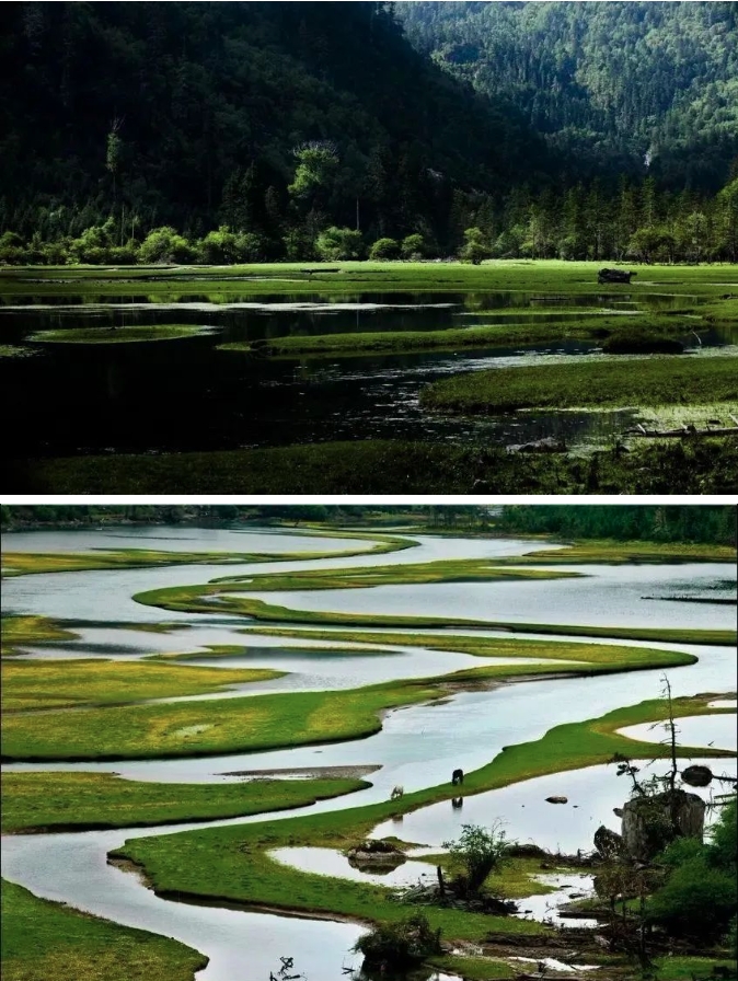 GanziChina's tweet image. Ganzi Road Trip: May Day Special 
First stop: Hehuahai National Forest Park
📍Pusharong Township, Kangding (between Gongga Mountain &amp;amp; Wuxuhai Scenic Area)
Explore pristine forests, wild animals, hot springs, alpine lakes &amp;amp; glaciers!
#GanziGuide #SpringTrip #Travel #China #MayDay