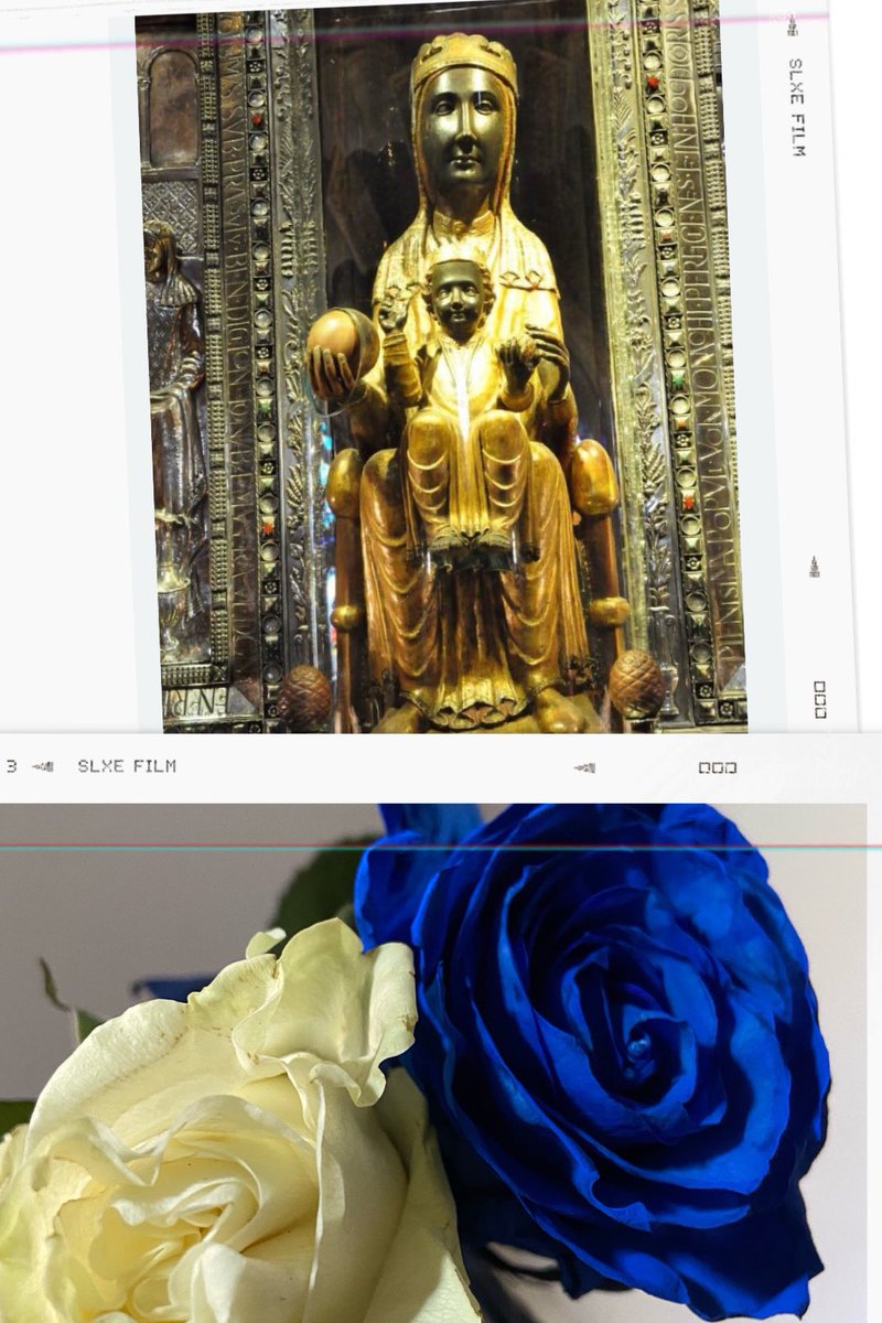 Rosa d'abril, Morena de la serra, 
de Montserrat Estel: 
il·lumineu la catalana terra,
guiau-nos cap al cel.
Visca Catalunya lliure!
I Visca el Voltregà!