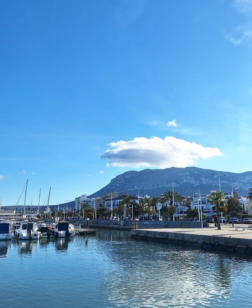 Angelo Lorenzo tweet media