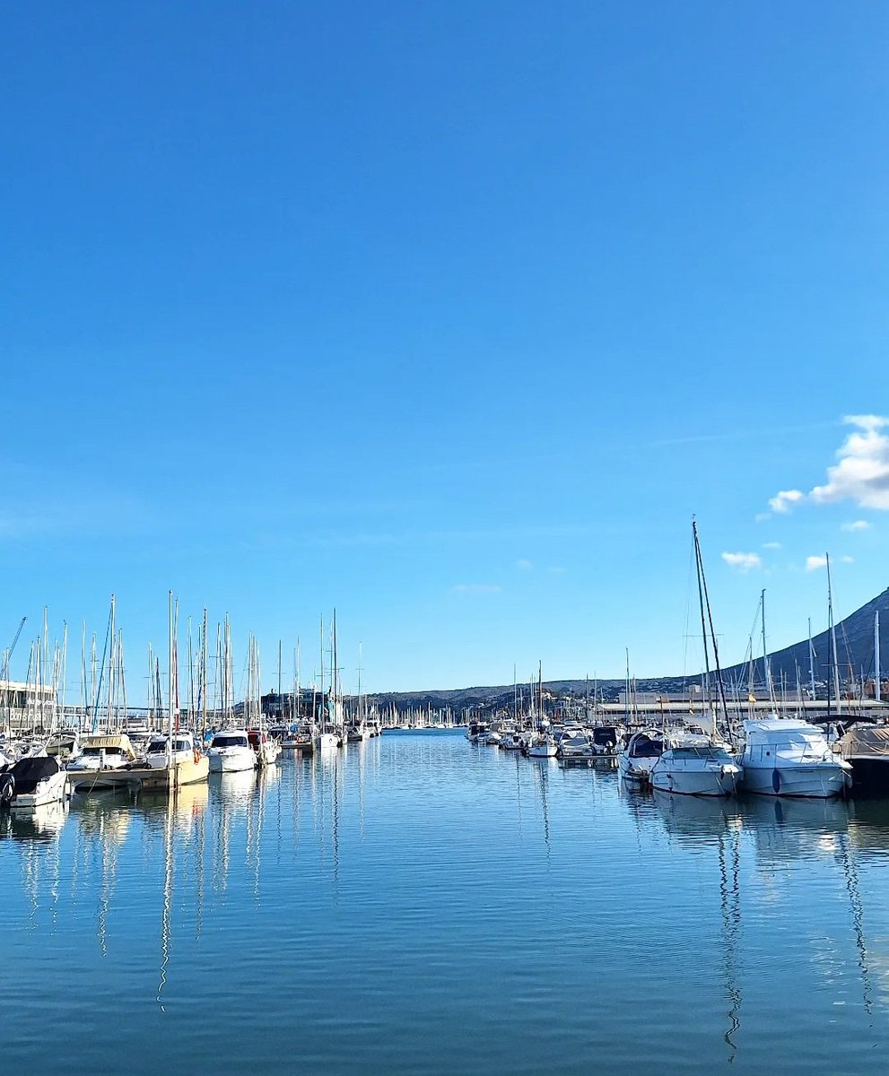 Angelo Lorenzo tweet media