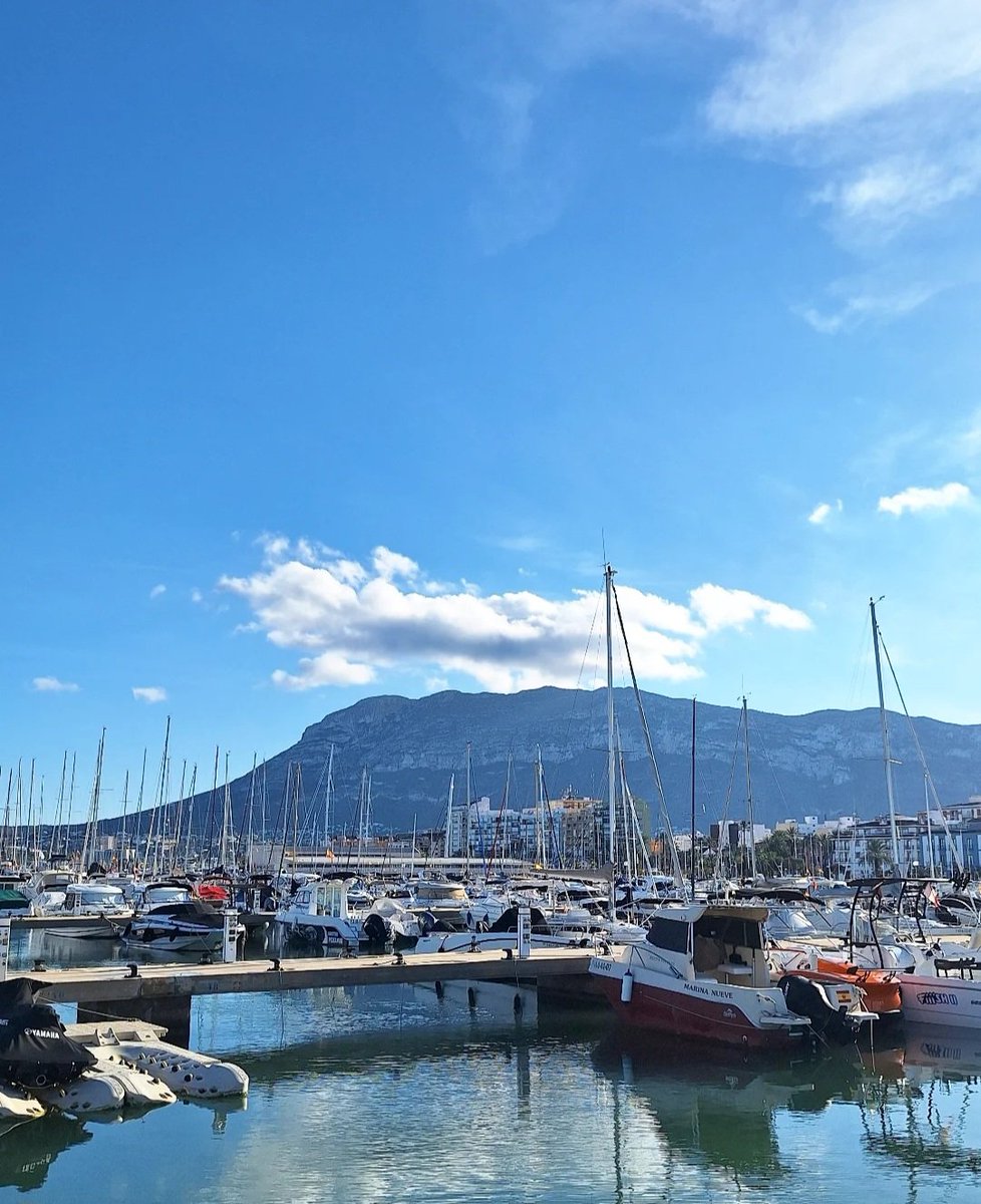 Angelo Lorenzo tweet media