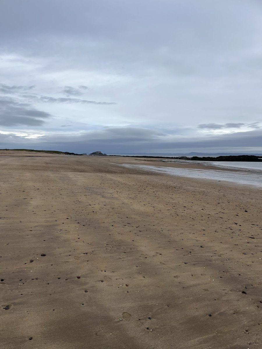 A quiet beach ahead of a busy day of by election campaigning.