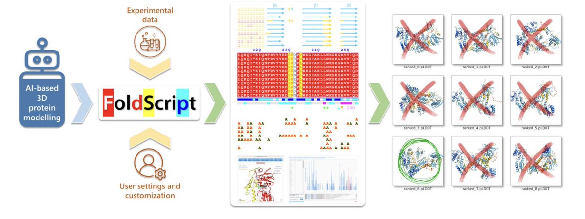 Biology+AI Daily (@biologyaidaily) on Twitter photo FoldScript: A Web Server for the Efficient Analysis of AI-Generated 3D Protein Models <a href="/NAR_Open/">Nucleic Acids Res</a>
1. FoldScript is a web-based server designed to streamline the analysis and selection of AI-generated 3D protein models, offering an easy-to-use interface that efficiently FoldScript: A Web Server for the Efficient Analysis of AI-Generated 3D Protein Models <a href="/NAR_Open/">Nucleic Acids Res</a>
1. FoldScript is a web-based server designed to streamline the analysis and selection of AI-generated 3D protein models, offering an easy-to-use interface that efficiently