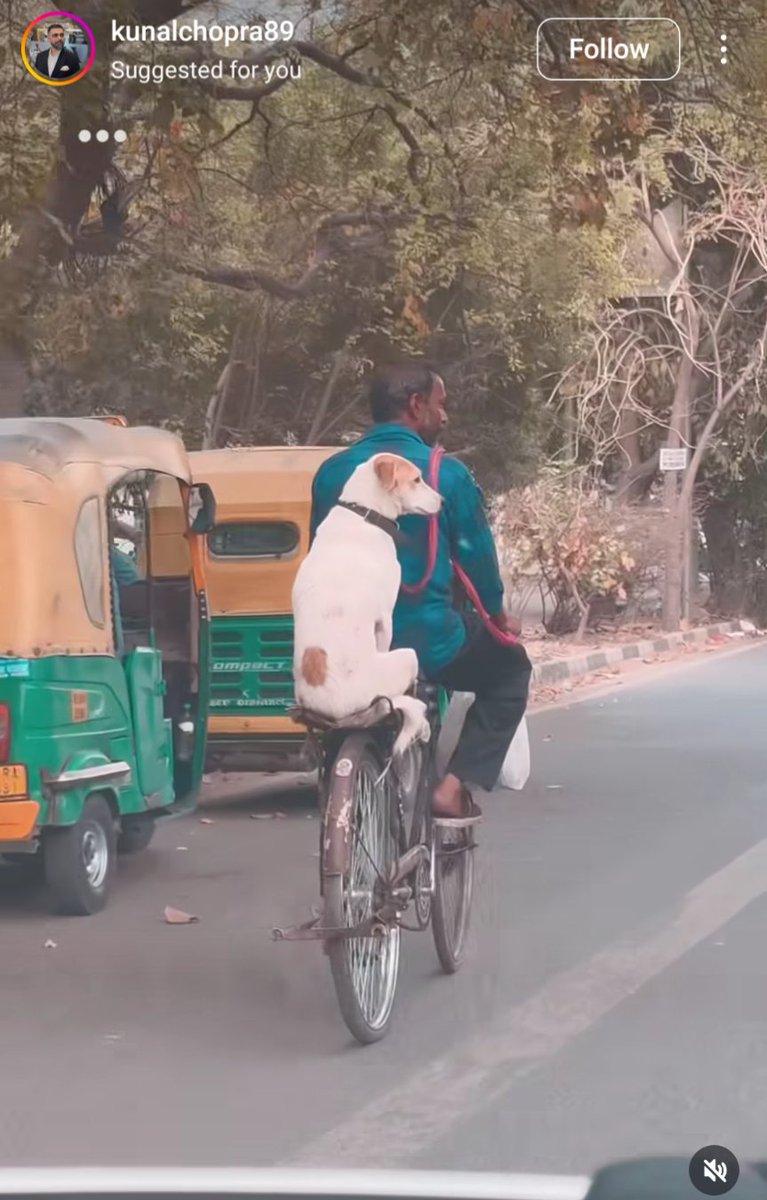 Cycling with your best friend 😊❤️
instagram.com/reel/DIRWvZdyv…