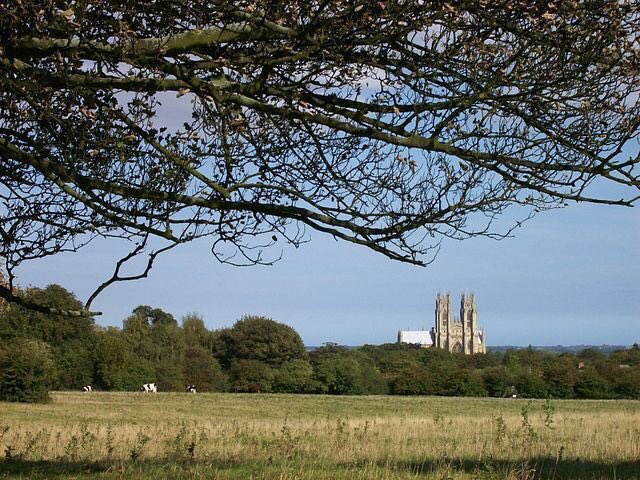 NorthAges's tweet photo. Apr 27: Feast of Winewald (†731), abbot of Beferlic (Beverley, East Yorkshire). He is credited with making the monastery a centre of spiritual and cultural growth. 📸Tony Grist https://t.co/JnZt8pDcXw