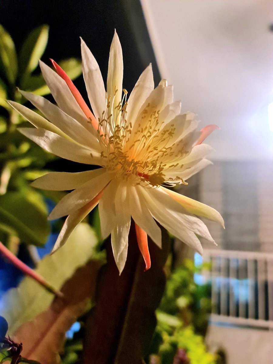 Suka sedih &amp; kesel ga siy, saat hari libur tiba2 suami ditelp bos unt dtg ke kntr krn ada yg urgent. Or tiba2 temennya ngajak ngopi krn pingin diskusi. 
Gue suka kesel siy.
Tp trs gue mikir, bersyukur aja cm bos or temen yg pingin ketemu. Kalau Allah yg udah pingin ketemu? Nahh..