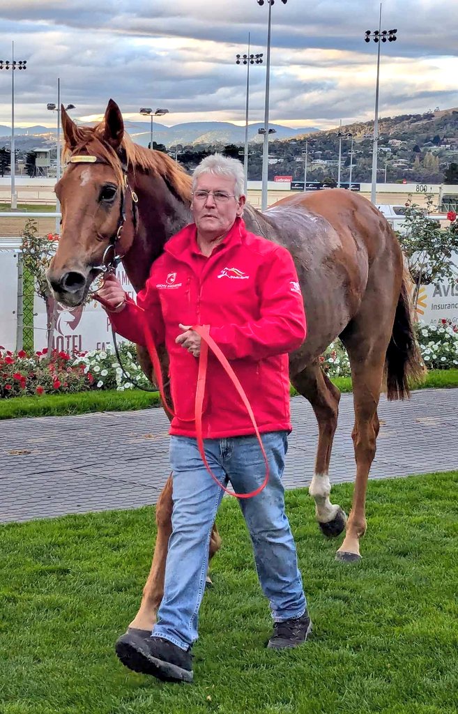 Win number 4 for Golden Prophet (5g Divine Prophet x Perfect Eight) who dug in to score narrowly in today's 2200m BM68 in Hobart!

Congrats to his winning owners as he goes past $75k in career earnings in just 15 starts, and thanks to Chris Pang for another winning ride! #Dennis