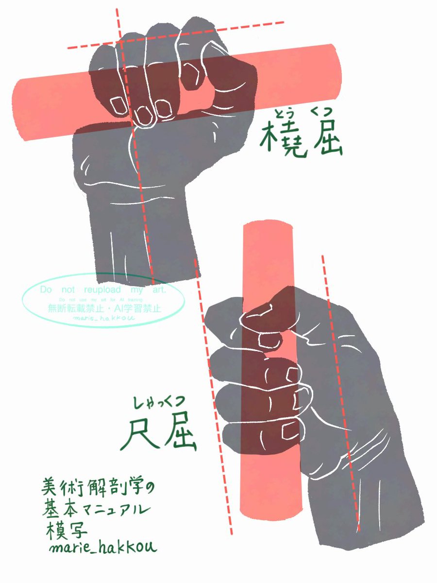 美術解剖学の基本マニュアル
P88 手首の運動
▶︎橈屈と尺屈　模写
橈骨側（親指側）に傾斜する事を橈屈、
尺骨側に傾斜する事を尺屈と言う。
合わせて90度ほど動かせる。