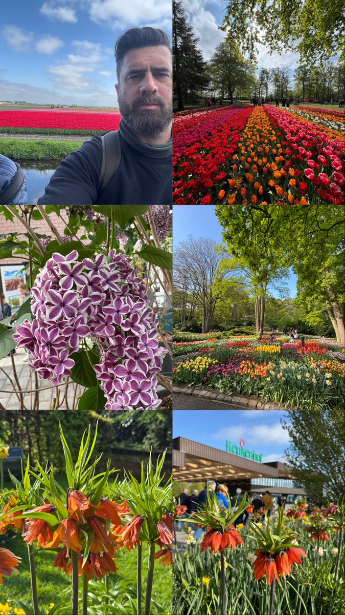 visiting the Netherlands to enjoy spring bulbs - unique driving routes, best places for coffee, secret bulb gardens which are FREE to enter, the beaches, my favourite (and quietest) corners of Keukenhof…

open.substack.com/pub/mrplantgee…