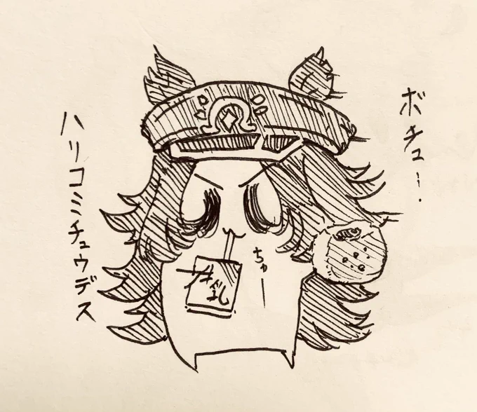 はりこみしてるミニマメちん🫘 