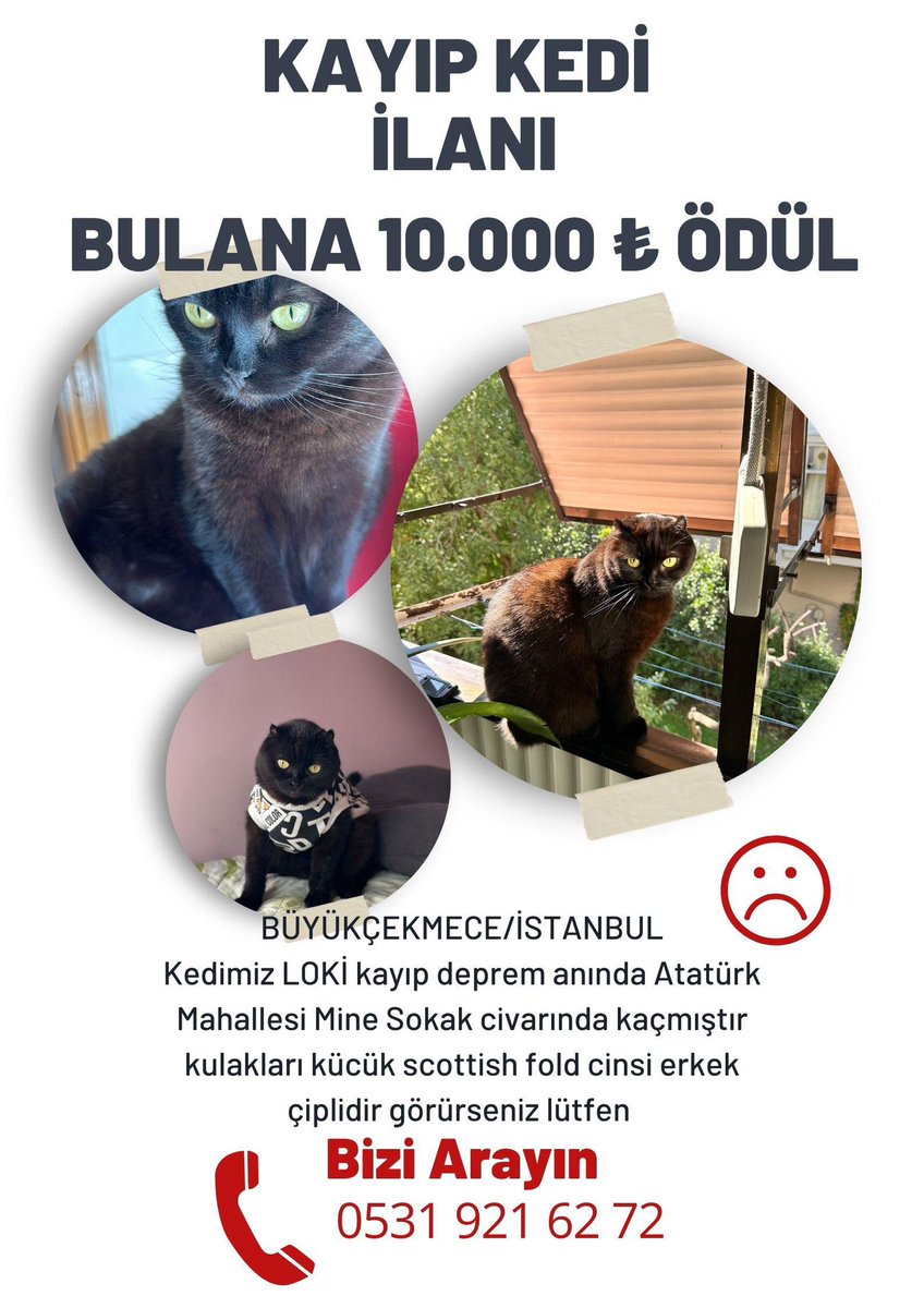 nediosude's tweet photo. Bulan kişiye 10.000 tl ödül! https://t.co/dtFab2YkGw