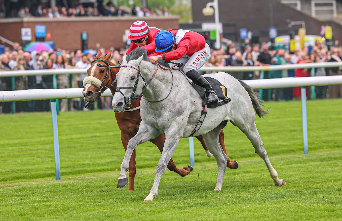 Tom Marquand (@tommarquand) on Twitter photo A double on the day yesterday at Haydock for the boss <a href="/WilliamHaggas/">Somerville Lodge Stables</a>, with Opportunity getting off the mark on his second attempt and Maelstrom winning for the second time this week π
Many congratulations to the winning connections Wathnan Racing & <a href="/CPStudOfficial/">Cheveley Park Stud</a> ππΌ
#TM A double on the day yesterday at Haydock for the boss <a href="/WilliamHaggas/">Somerville Lodge Stables</a>, with Opportunity getting off the mark on his second attempt and Maelstrom winning for the second time this week π
Many congratulations to the winning connections Wathnan Racing & <a href="/CPStudOfficial/">Cheveley Park Stud</a> ππΌ
#TM