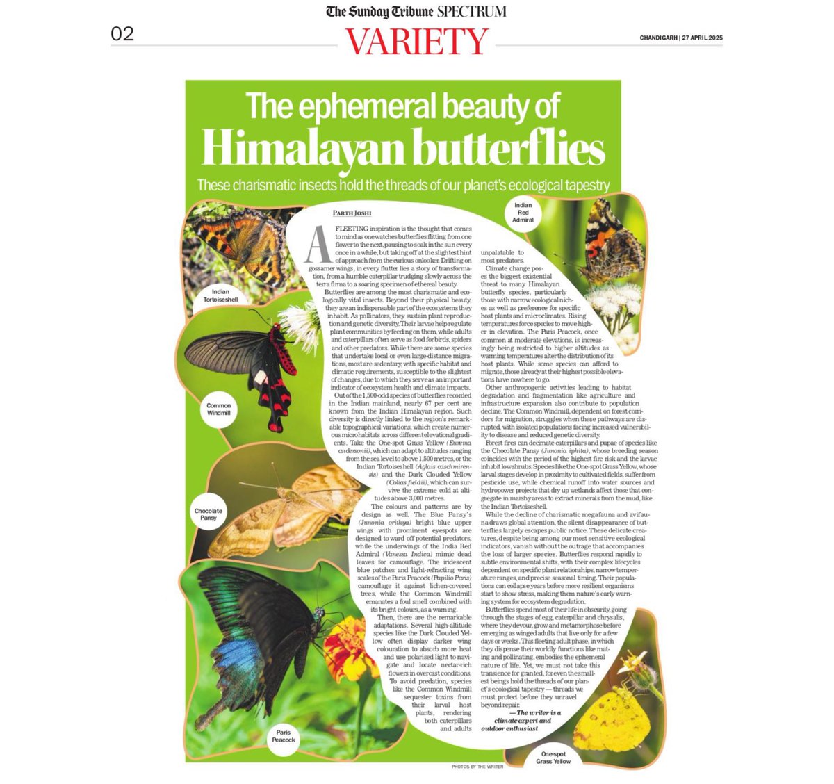 Parth Joshi (@parth_rkt) on Twitter photo 🦋 Butterflies in the Himalaya, like elsewhere, weave a delicate tapestry of ecological significance.
From pollinators to nature's early warning systems, these ephemeral creatures are vital yet vulnerable, as they disappear silently.
bit.ly/3YKs5PV
<a href="/thetribunechd/">The Tribune</a> 🦋 Butterflies in the Himalaya, like elsewhere, weave a delicate tapestry of ecological significance.
From pollinators to nature's early warning systems, these ephemeral creatures are vital yet vulnerable, as they disappear silently.
bit.ly/3YKs5PV
<a href="/thetribunechd/">The Tribune</a>
