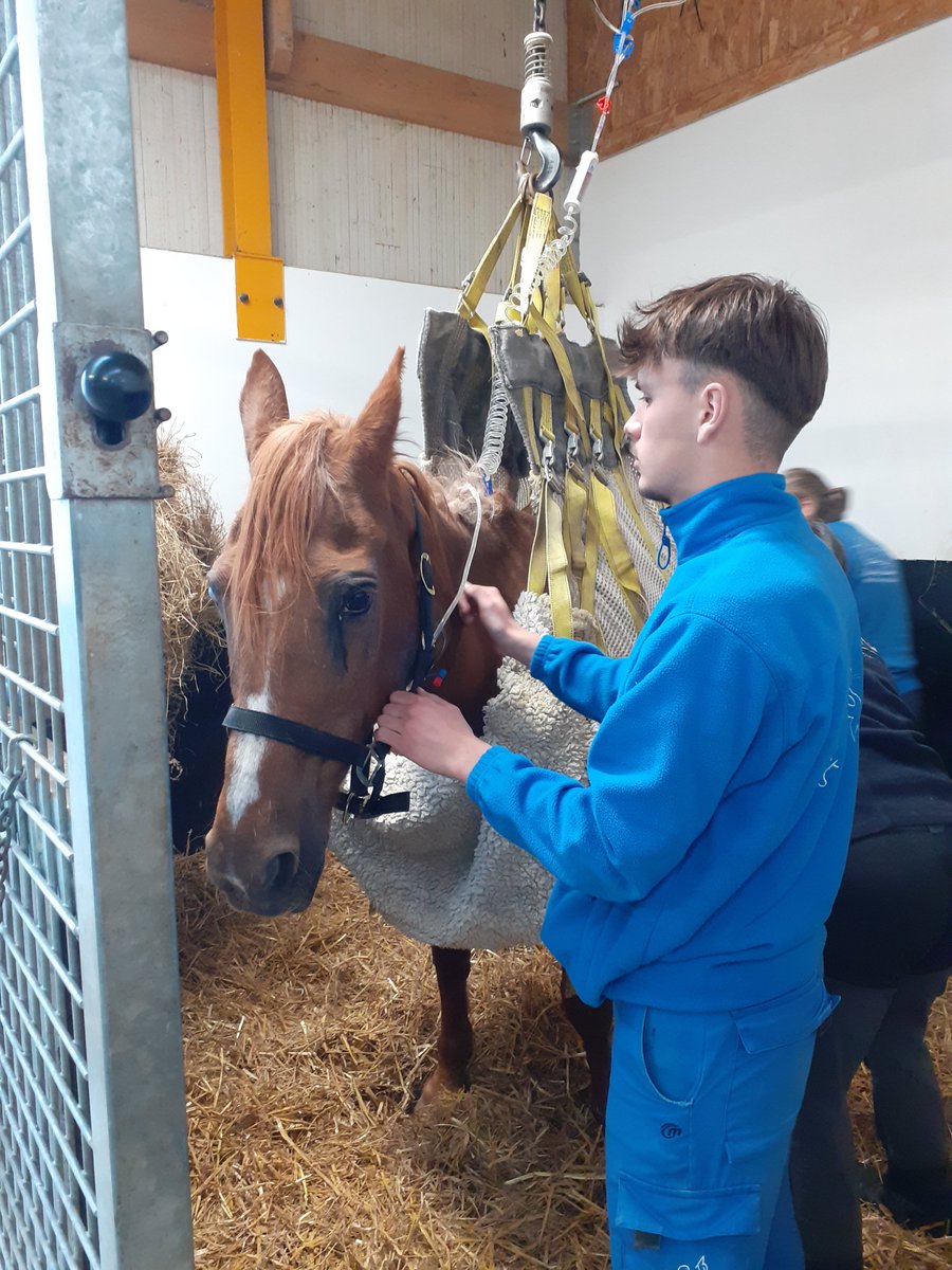 #Sauvetage
🐴 Deux juments sauvées le jour de Pâques

Le week-end dernier, alors que beaucoup célébraient Pâques, nos équipes d'intervention étaient mobilisées pour un sauvetage d'urgence dans l'Eure.
Suite à un signalement alarmant, nous avons fait appel aux forces de l’ordre