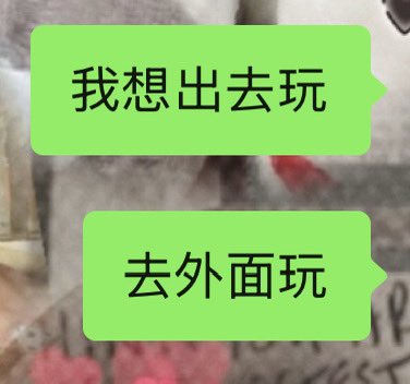 wwy_67's tweet photo. 脚好像快好了 想出去玩
为什么没人陪我出去玩
为什么这样对我🥹 https://t.co/ExcvzKul2a