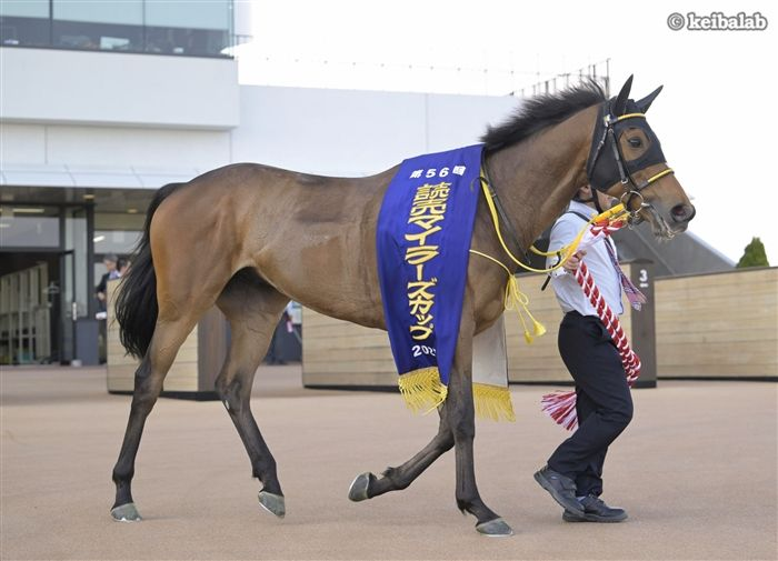 keibalab's tweet photo. 【名は体を表す】
マイラーズCを勝ったロングランですが、馬名意味は"長く元気に走ってほしい"。

2歳時にデビューし7歳春に重賞連勝。総賞金は2億円を突破しました。
#ロングラン #岩田康誠 #マイラーズC 
https://t.co/Qsve3YCOEO https://t.co/gsCyx3dbXo