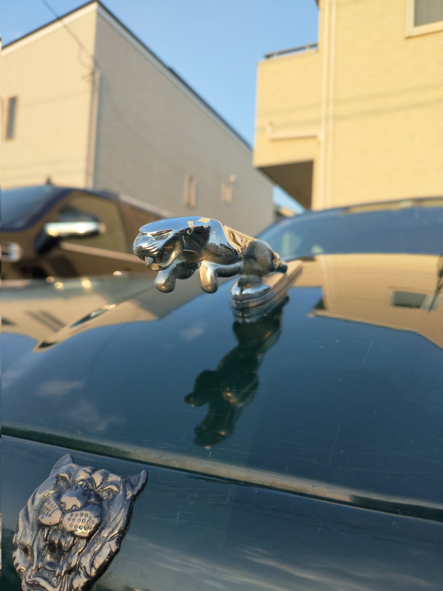 1997 ジャガー XJR6納車しました！
機関絶好調💪

4L 直6 スーパーチャージャー💪