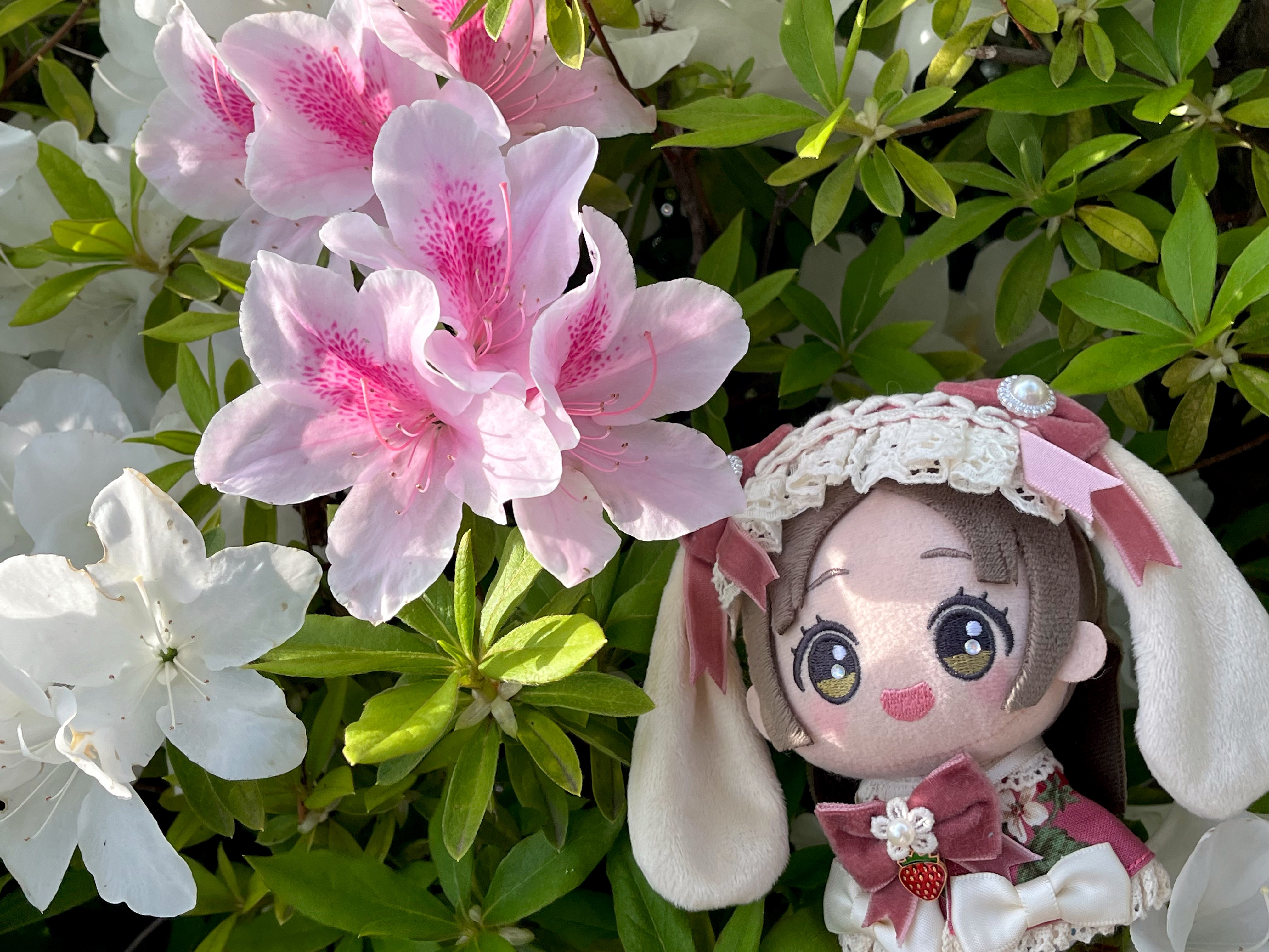 ちぬP (@T31396Xc4) / X ちぬP (@T31396Xc4) / X
