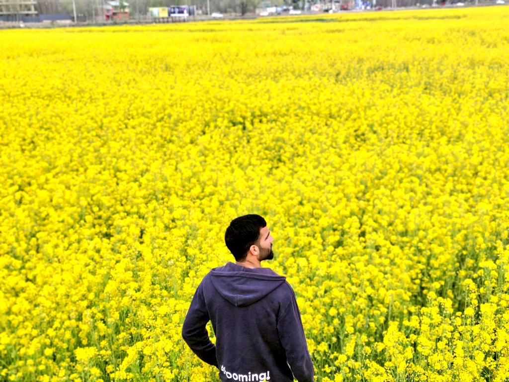 KuchayShahi's tweet photo. Spring has sprung! 🌸🌼 https://t.co/OQL4ngBwnX