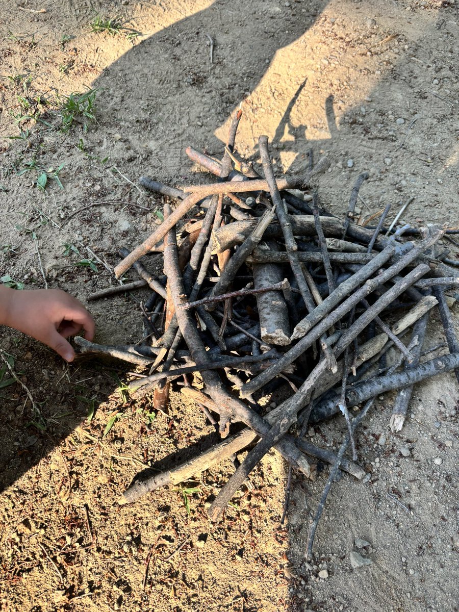 osakenomitai88's tweet image. ずっと枝集めてる😂