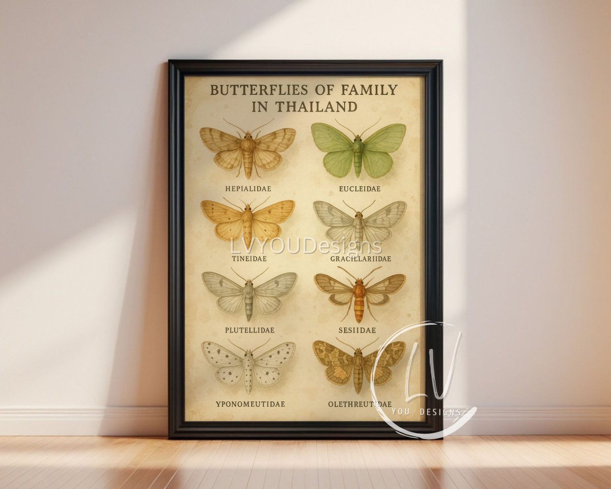 patty_hap's tweet image. Shop Now on Etsy.

Vintage Watercolor Moth Illustration | Antique Scientific Insect Print | Botanical Wall Art | Moth Species of Thailand Decor, Home Decor etsy.me/44IkJAl ผ่าน @Etsy 

#MothArt
#VintageButterfly
#InsectPrint
#BotanicalArt
#WatercolorMoth