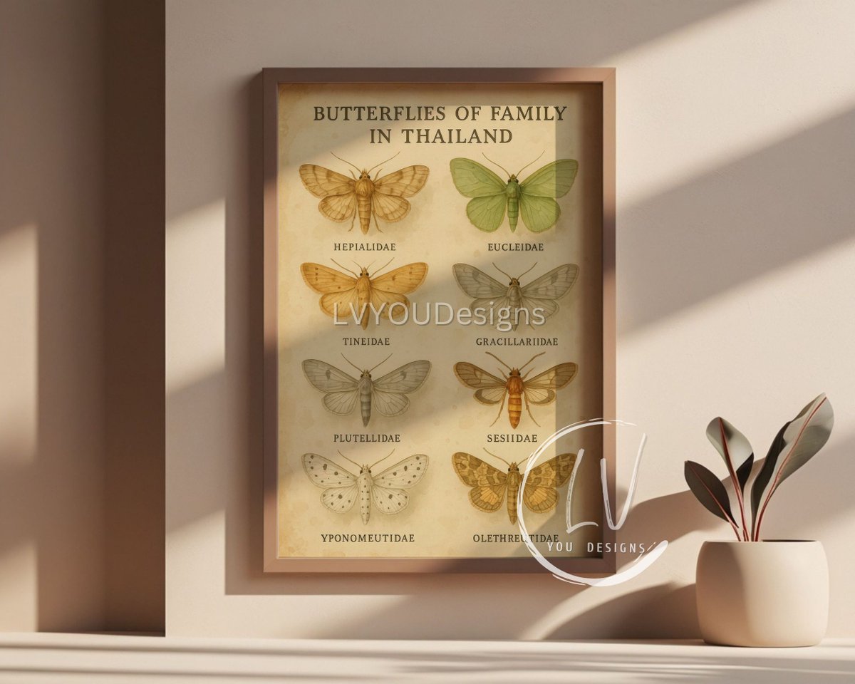 patty_hap's tweet image. Shop Now on Etsy.

Vintage Watercolor Moth Illustration | Antique Scientific Insect Print | Botanical Wall Art | Moth Species of Thailand Decor, Home Decor etsy.me/44IkJAl ผ่าน @Etsy 

#MothArt
#VintageButterfly
#InsectPrint
#BotanicalArt
#WatercolorMoth