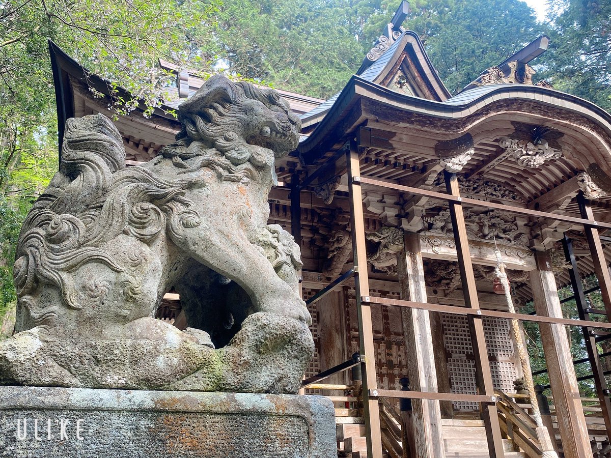 「白山神社の苔など 一面緑でよきでした」|草菜🌱のイラスト