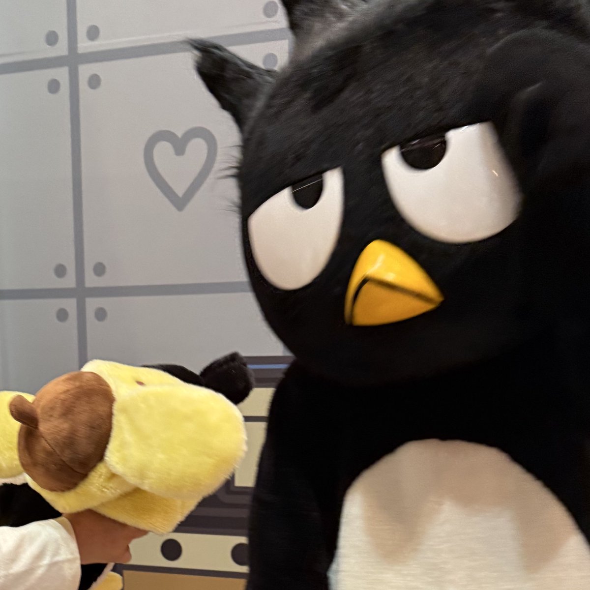 この間この子連れてグリ行ったら、全力で被り物引きはがそうとしてきてww
🍮誕生日だから許してって言ったんだけど、写真撮り終わったら速攻取られた🤣