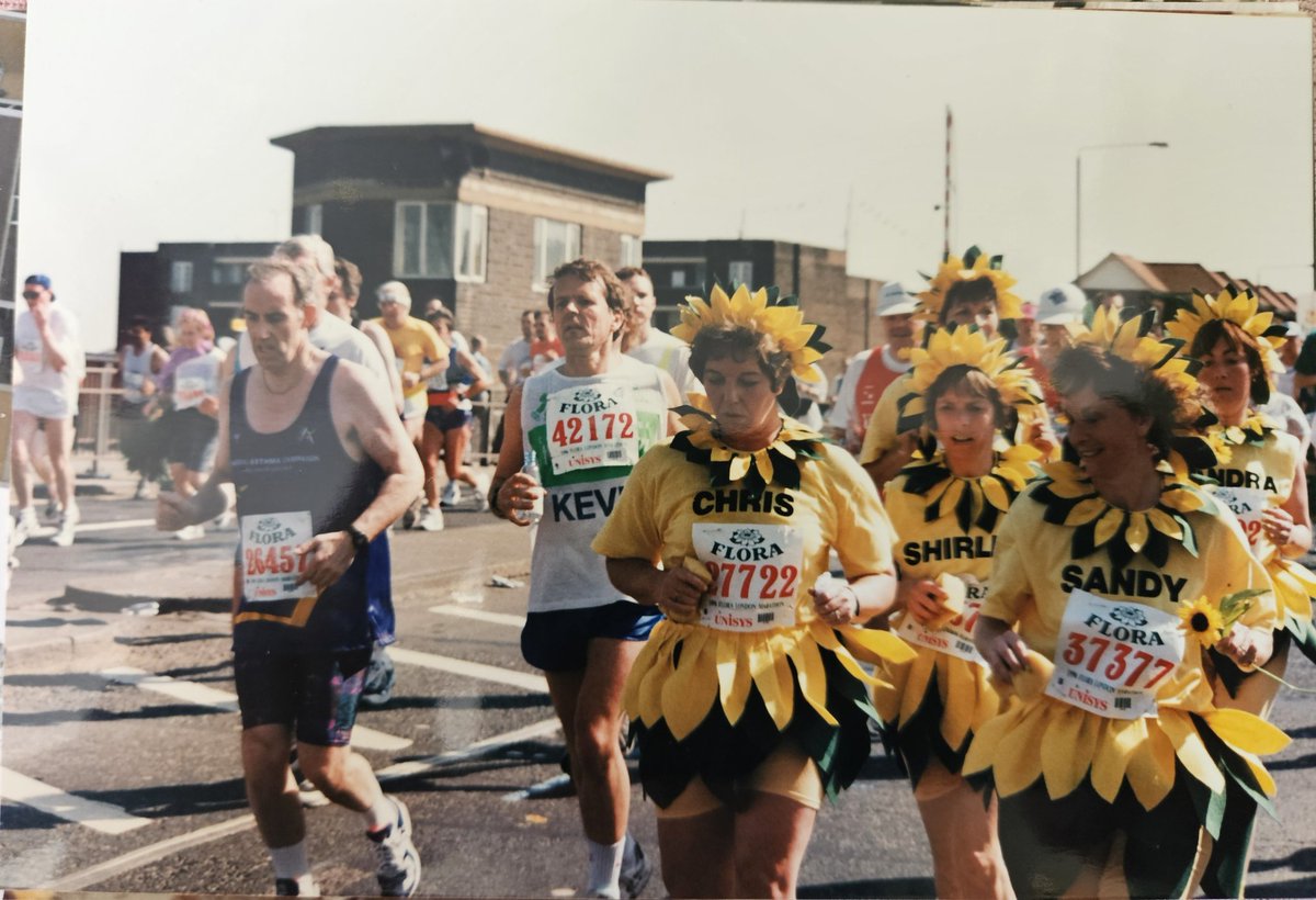 Hayley Jeffery tweet media