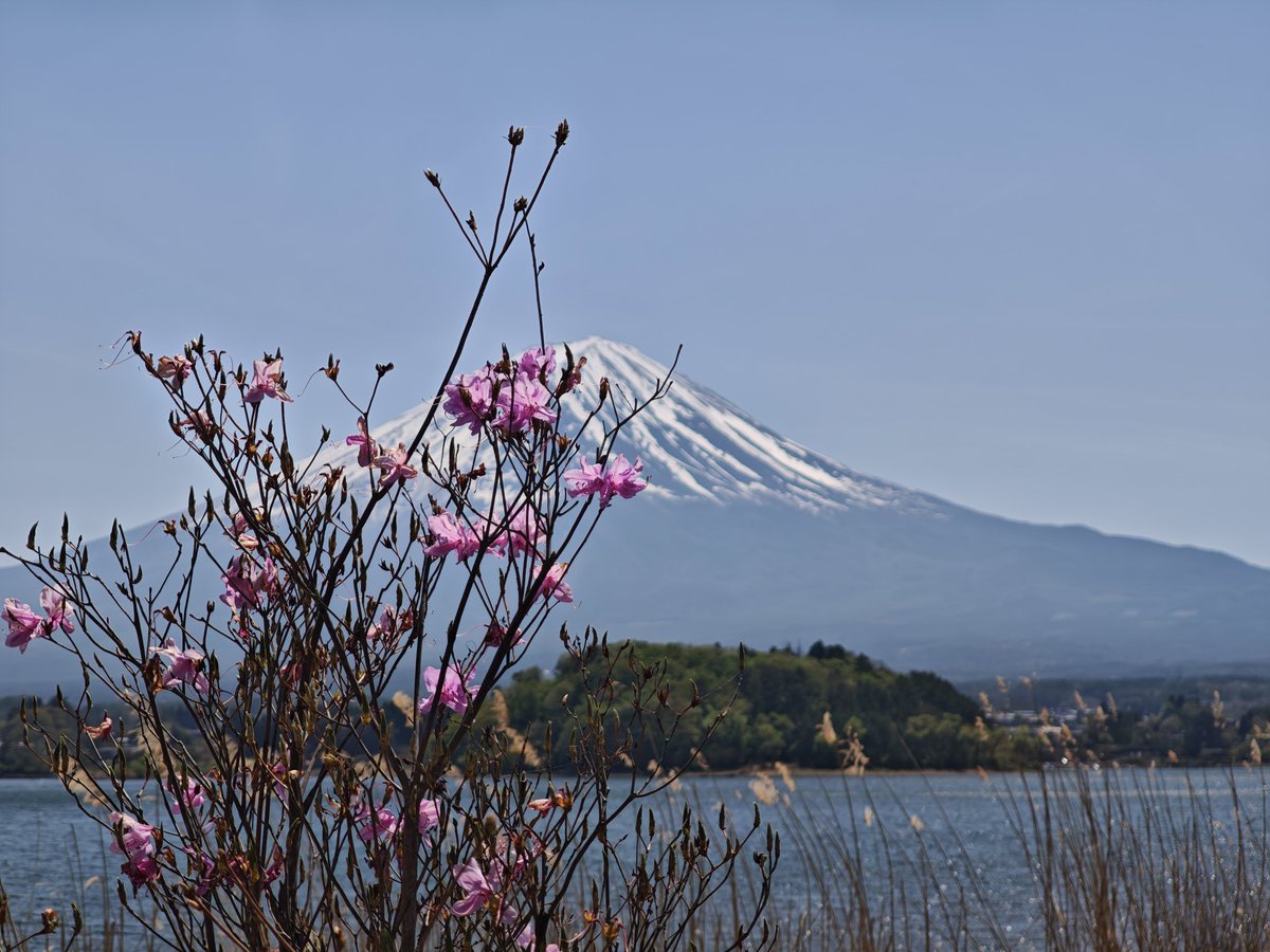 elvsvle's tweet photo. Fuji-san! https://t.co/seAos4oLfc