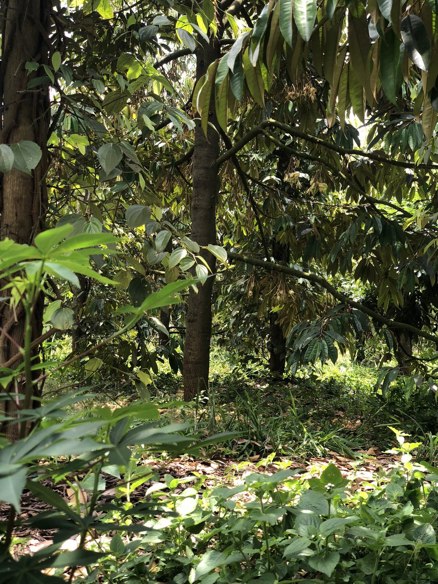 jon (@bivn36015498) on Twitter photo 