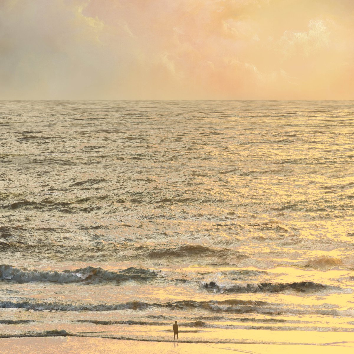 SaskiaBoelsums's tweet image. Aan zee