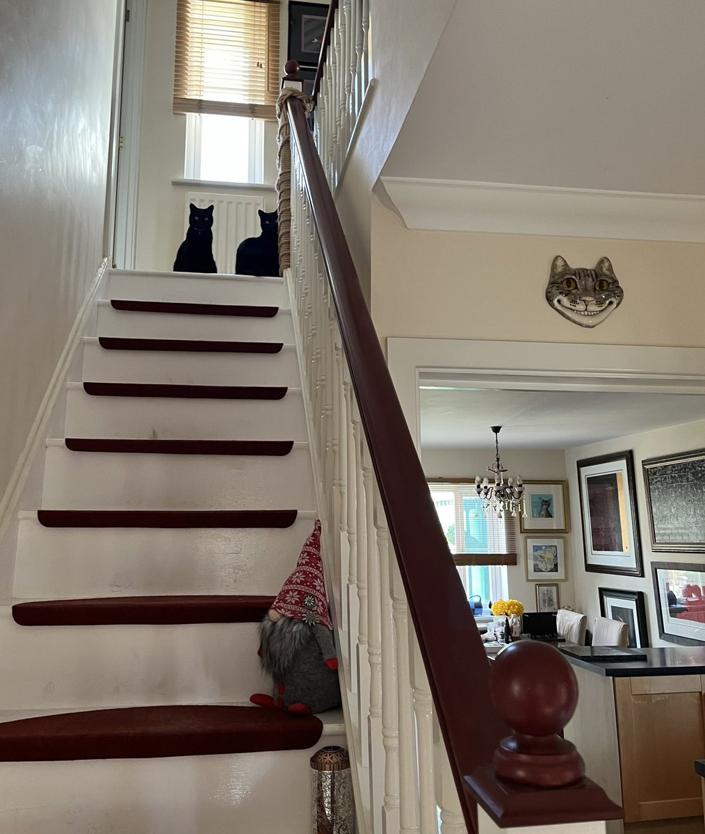 Leta and Lally’s mum here. Loads of noise coming from upstairs this morning. Looked up and saw this. I’m actually afraid to go up there…..