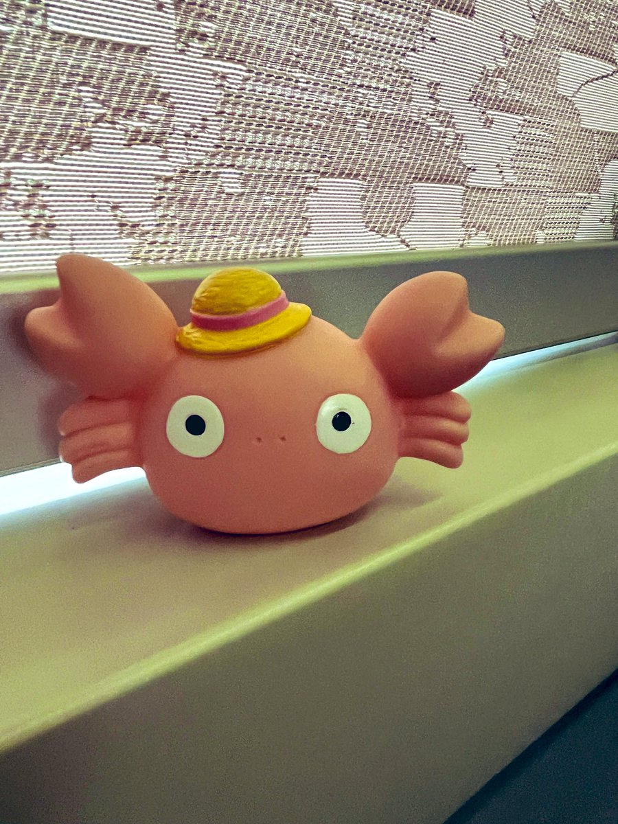帰省のお供として、ついてきてもらいました🦀