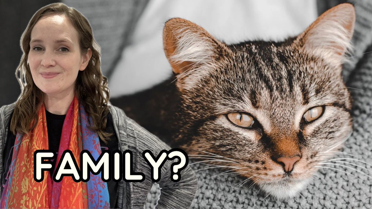 Five signs your cat sees you as family youtu.be/BOGuUO9Zhk0?si… via <a href="/YouTube/">YouTube</a>