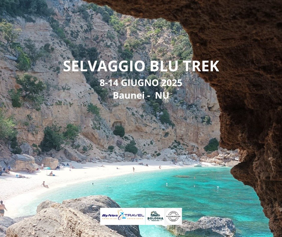 𝐔𝐥𝐭𝐢𝐦𝐢 𝐠𝐢𝐨𝐫𝐧𝐢 𝐩𝐞𝐫 𝐥'𝐢𝐬𝐜𝐫𝐢𝐳𝐢𝐨𝐧𝐞! Uno dei trek più spettacolari del Mediterraneo.
Una settimana di 𝐢𝐦𝐦𝐞𝐫𝐬𝐢𝐨𝐧𝐞 𝐧𝐞𝐥𝐥𝐚 𝐜𝐮𝐥𝐭𝐮𝐫𝐚 𝐞 𝐧𝐞𝐥𝐥𝐚 𝐧𝐚𝐭𝐮𝐫𝐚 𝐬𝐞𝐥𝐯𝐚𝐠𝐠𝐢𝐚 𝐝𝐞𝐥𝐥𝐚 𝐒𝐚𝐫𝐝𝐞𝐠𝐧𝐚 
Info : bolognatrekking.it/selvaggio-blu-…