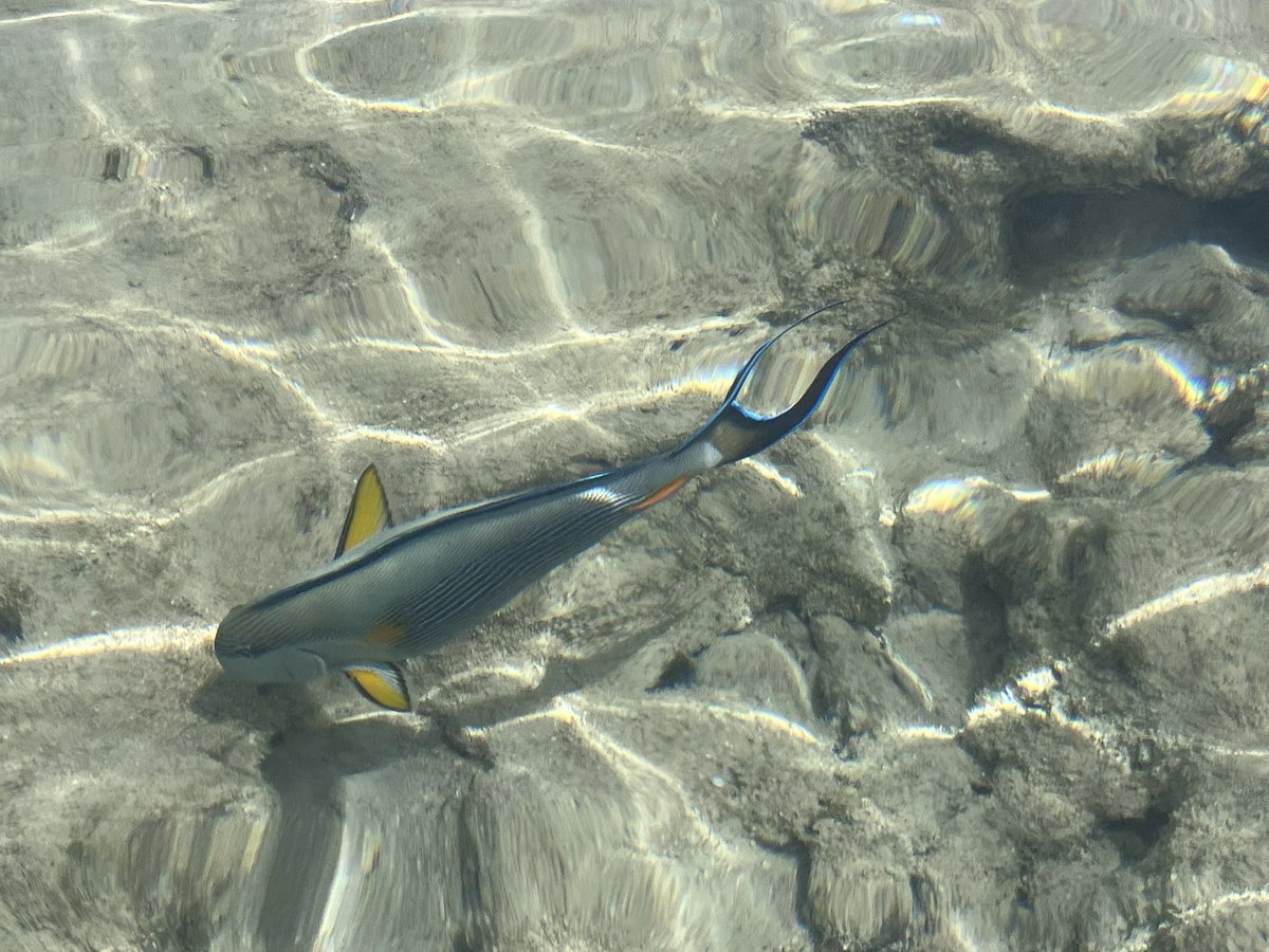 Short break in Sharm Egypt 🇪🇬 but great for body and soul ❤️