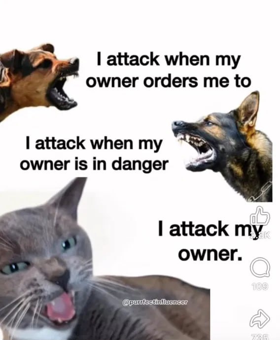 💎Courage4ever 💎 (@nancymar2022) on Twitter photo Ha ha ha 😂😂😂😂😂😂😂😂
Happy Sunday
<a href="/bdonesem/">💞 𝔀𝓱𝓲𝓼𝓹𝓮𝓻 💞 ( 𝓐𝓵 ) 😘</a> <a href="/BookOfGrok1984/">Book Of Grok</a> <a href="/Imagine269/">༺❀ ᑕᖇISTIᑎᗩ ❀༻#MᥲɾᥴᥱTᥱAყᥙᑯᥲ🔮</a> <a href="/MarcelaErcia/">🕉MARCE🐉⚖ #MarceTeAyuda🔮#MarceLive🔄 Meme y Popi</a> @Donald_Army <a href="/Tweeklives/">twk4usa</a> <a href="/Jessies_Too/">Jessie2</a> <a href="/PSwal807/">Penny Calls a Lid 🇺🇸🇮🇹</a> <a href="/45mx_7/">Maximus</a> <a href="/GabiNga1/">Gabi🌻</a> <a href="/chics_frank/">Frank-Bluehand-Chics</a> <a href="/smrose29/">🌸SMRose</a> <a href="/GaryKin007/">Gary</a> <a href="/BluehandRising/">OO7 🌐 ̿̿ ̿'̿'\̵͇̿̿\з=( ͡◕ʖ ͡◕)=ε/̵͇̿̿/'̿'̿ ̿</a> <a href="/wildangel1968/">Texas Angel ❤💜❤💜❤</a> <a href="/Bluepit19651/">Bluepit1965</a> <a href="/GaryWalters66/">Gary Walters</a> @NoHatred52EL
<a href="/WhalenMona/">Miss Mona</a> Ha ha ha 😂😂😂😂😂😂😂😂
Happy Sunday
<a href="/bdonesem/">💞 𝔀𝓱𝓲𝓼𝓹𝓮𝓻 💞 ( 𝓐𝓵 ) 😘</a> <a href="/BookOfGrok1984/">Book Of Grok</a> <a href="/Imagine269/">༺❀ ᑕᖇISTIᑎᗩ ❀༻#MᥲɾᥴᥱTᥱAყᥙᑯᥲ🔮</a> <a href="/MarcelaErcia/">🕉MARCE🐉⚖ #MarceTeAyuda🔮#MarceLive🔄 Meme y Popi</a> @Donald_Army <a href="/Tweeklives/">twk4usa</a> <a href="/Jessies_Too/">Jessie2</a> <a href="/PSwal807/">Penny Calls a Lid 🇺🇸🇮🇹</a> <a href="/45mx_7/">Maximus</a> <a href="/GabiNga1/">Gabi🌻</a> <a href="/chics_frank/">Frank-Bluehand-Chics</a> <a href="/smrose29/">🌸SMRose</a> <a href="/GaryKin007/">Gary</a> <a href="/BluehandRising/">OO7 🌐 ̿̿ ̿'̿'\̵͇̿̿\з=( ͡◕ʖ ͡◕)=ε/̵͇̿̿/'̿'̿ ̿</a> <a href="/wildangel1968/">Texas Angel ❤💜❤💜❤</a> <a href="/Bluepit19651/">Bluepit1965</a> <a href="/GaryWalters66/">Gary Walters</a> @NoHatred52EL
<a href="/WhalenMona/">Miss Mona</a>