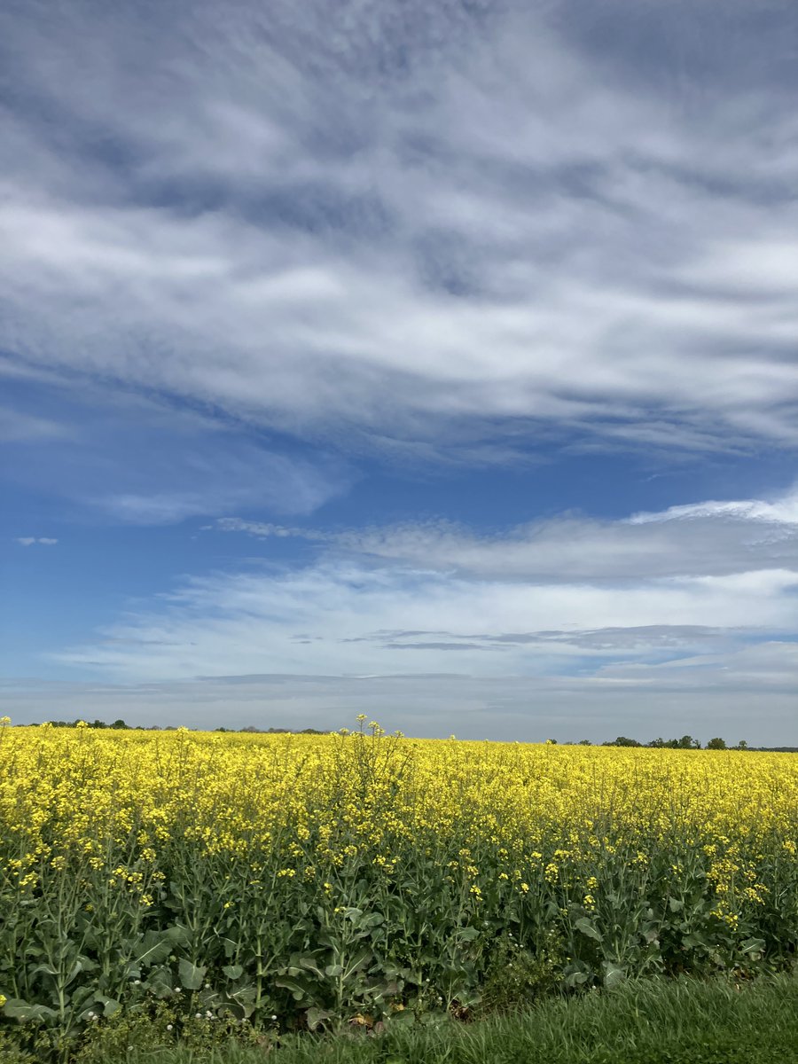 Meteorology is the science of the atmosphere—its composition, motions and energy cycles—whose purpose is to turn raw observations (from sensors, satellites, radars, crowdsourcing, etc.) into physically coherent stories about how air, water and radiation interact across scales,