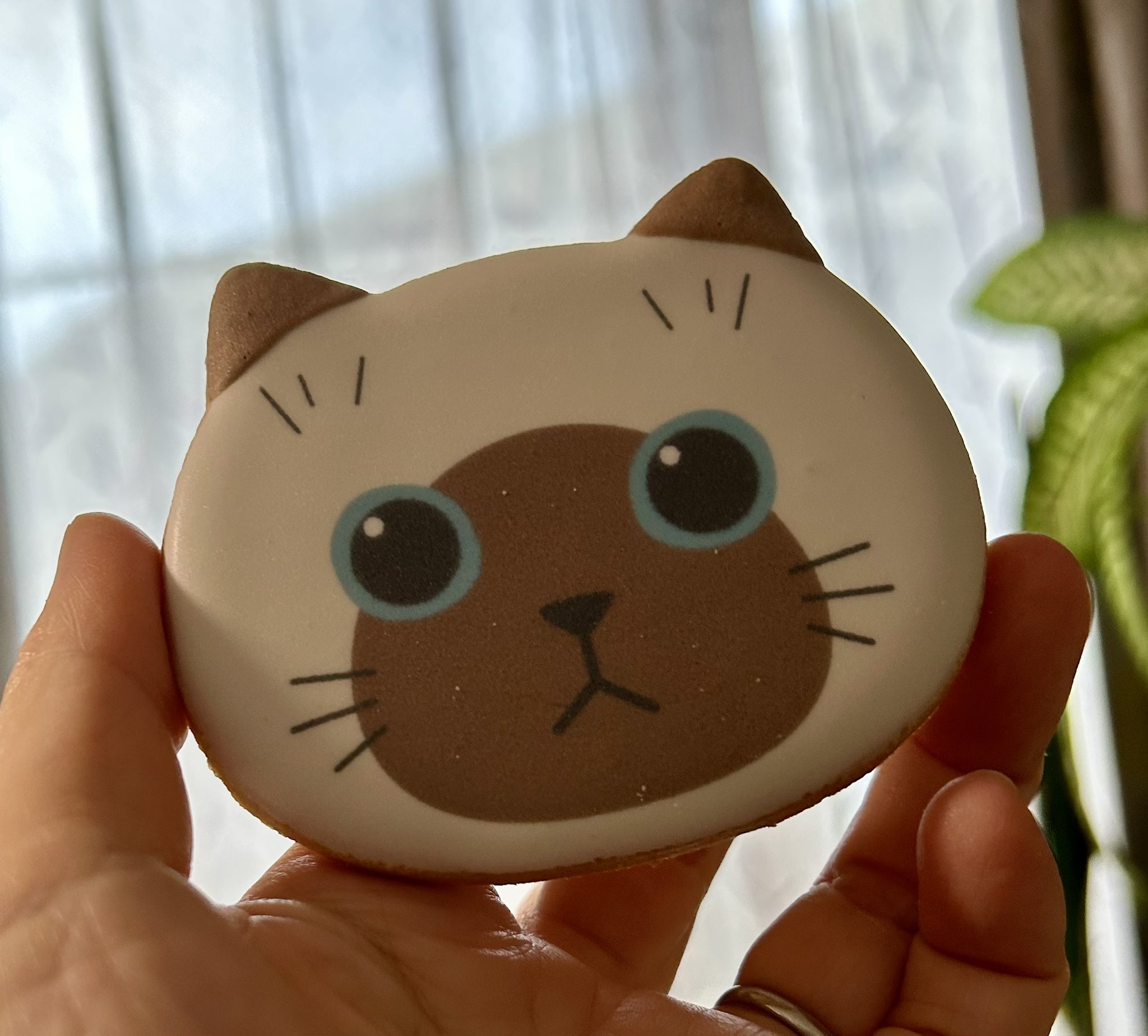 梶原美穂😸5/9-21個展「めぐる」@猫の額（高円寺） (@kajiyon) / X