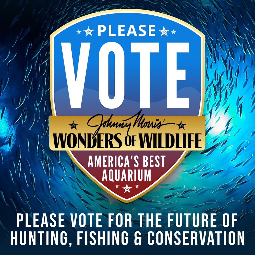 Vote Wonders of Wildlife Best Aquarium! 😁🌊⁣
⁣
Your vote for WOW is a vote for conservation! Vote daily through May 12th at the link below 👇🏼 

10best.usatoday.com/awards/wonders…