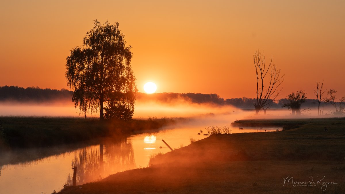 Goedemorgen en de echte koningsdag kleurde even oranje tijdens de zonsopkomst en met een beetje nevel over de velden maakte het helemaal af ( welke is uw keuze ) <a href="/goedeleliekens/">Goedele Liekens</a> #goedemorgen #betuwe