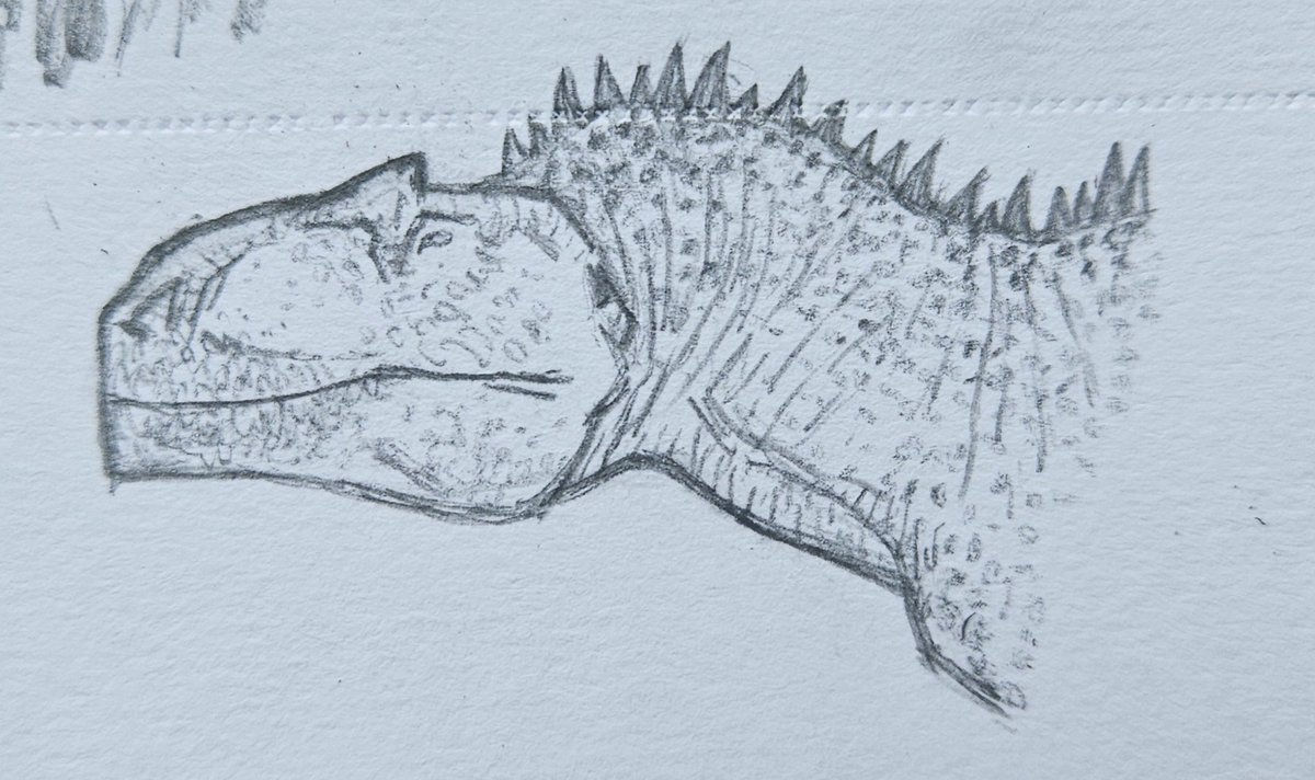 🪰 Toro 🦟 tweet media