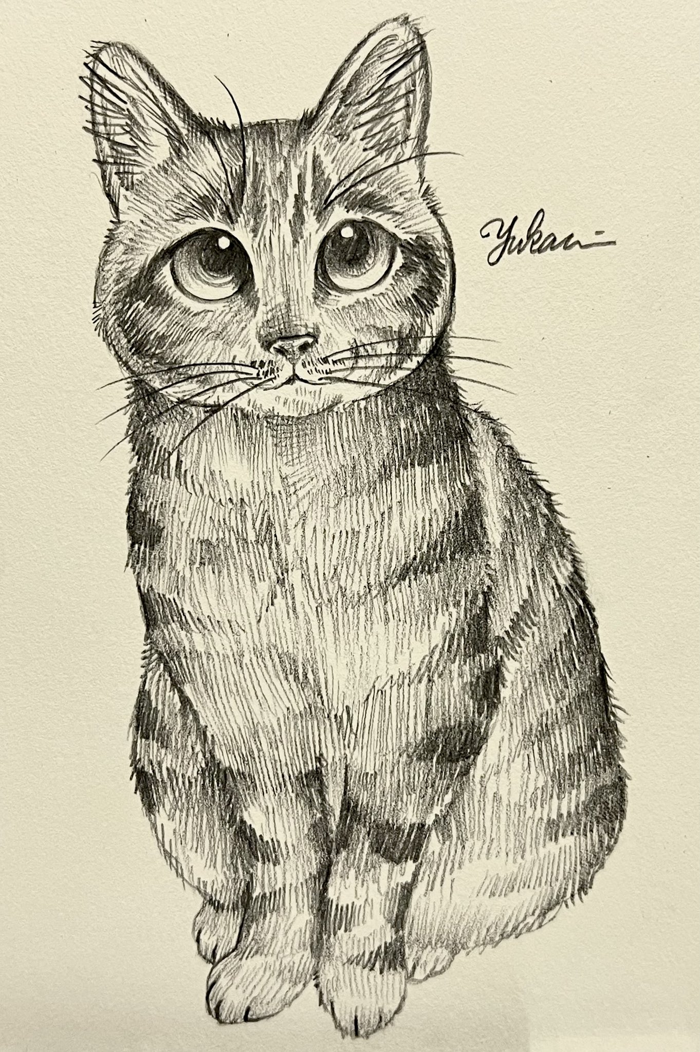 油彩画 YUKARI作 何かを覗く今にも絵から出てきそうな猫の図 銘