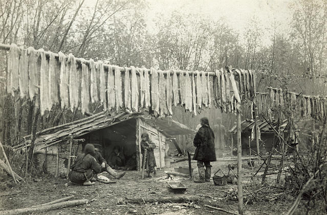 The #Nivkhs who lived on the lower armour made #fishweirs seasonally along the river and collecting large numbers of fish which they preserved by smoking. Other fisheries that existed were for eels and sturgeon as well as in shore whaling for species of small whales.
8/10