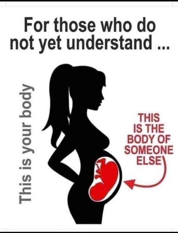 GideonsGhosts's tweet photo. @odinikaeze @mmpadellan Anatomy 101 https://t.co/wFYrdrglO5