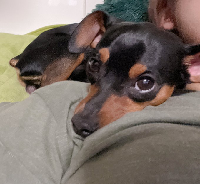 見てピッピ、これが私の彼氏(推し)だよ♡
根暗陰キャですぐ煽るくせに煽り耐性ないし余計なことすぐ言う困ったさんなんだけど家族思いで優しくて狂っていいのに狂いきれないとこもときめきポイントで異端の天才でしかも公式美形だから顔面強くて身長も高くて属性てんこ盛り激マブな…興味ないか!! 