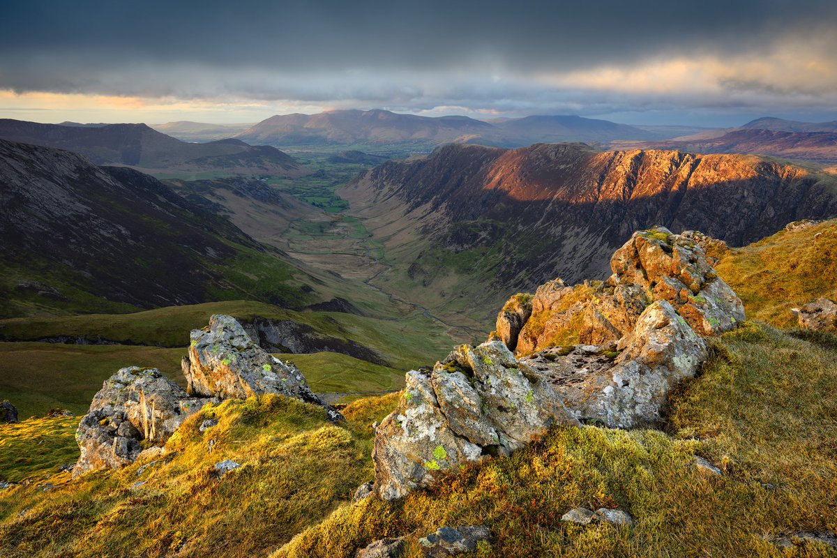 Daniel Kay tweet media