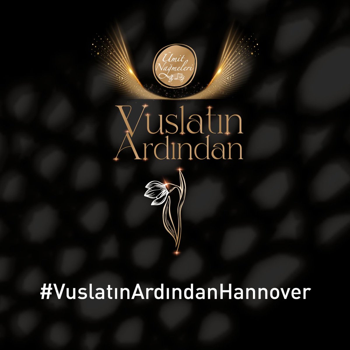 Bugünkü etiketimiz #VuslatınArdındanHannover. Lütfen sosyal medya paylaşımlarında bu etikete destek verin.